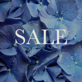 Summer Sale Final Reductions | Up to 50% Off