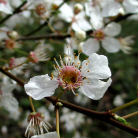 Seasonal Essentials for Spring