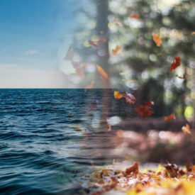 Transitioning from Summer to Autumn