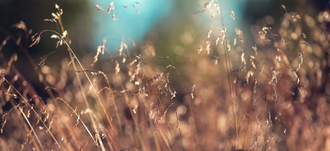 What to wear: Bank Holiday