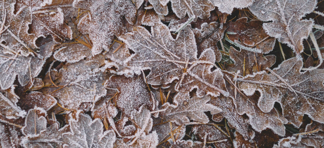 Knitwear for Every Occasion