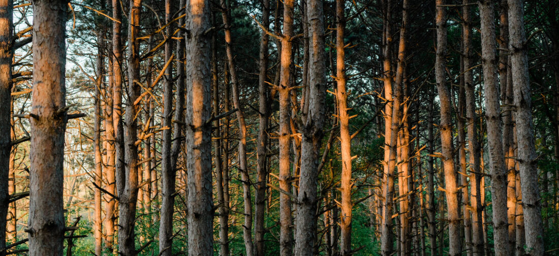 5 Walking Looks to Style This Autumn