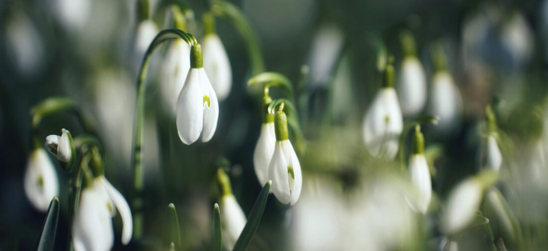 Must-Have Prints & Patterns For Early Spring 2024