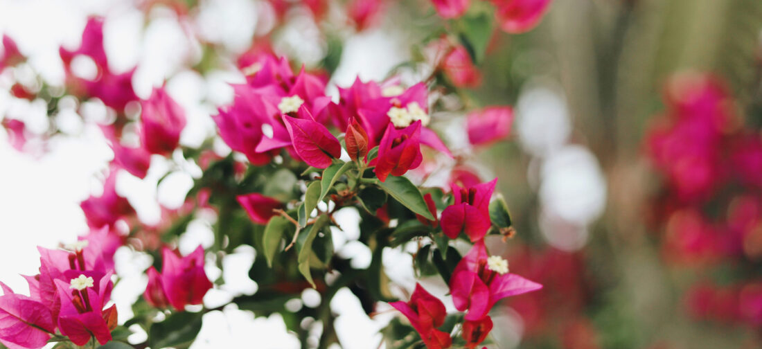 Discover Our 2024 Spring Issue