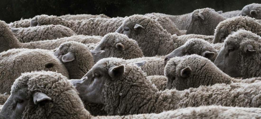 The Ultimate Guide To A Boiled Wool Jacket