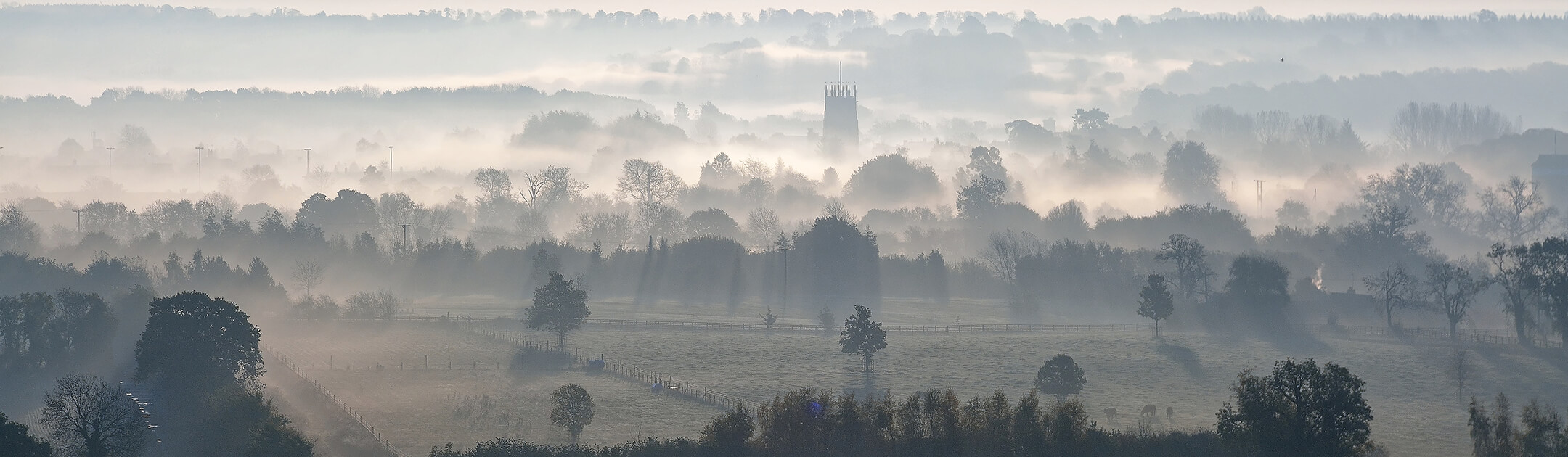 Cotswold Collections - Helpful Team