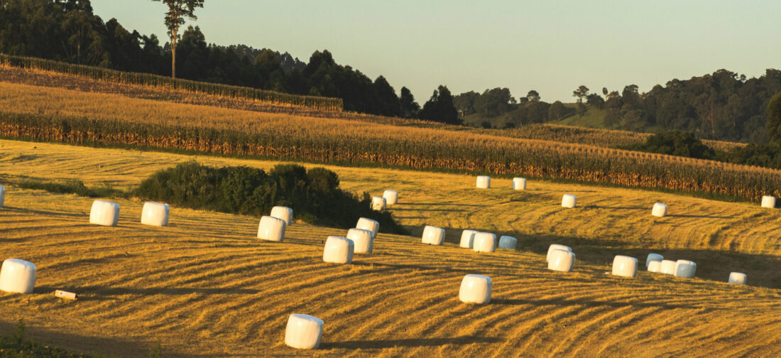 Skirts: Styling The New Season