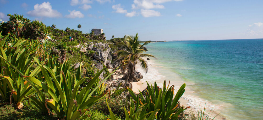 Discover our NEW Summer Preview 2025 Collection