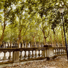 Beat The Cold With These Winter Salad Recipes