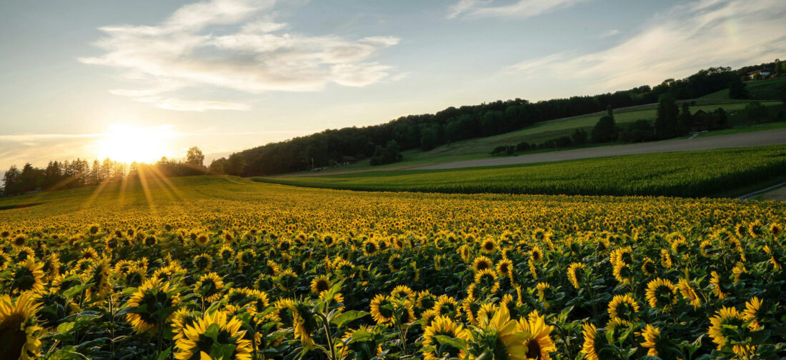 Discover Our 2025 New Season Issue