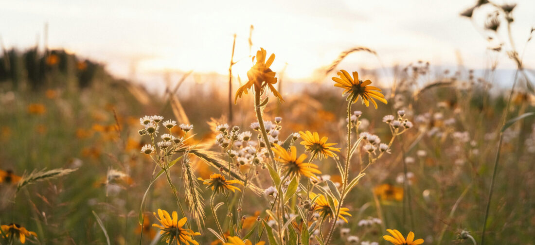 Transitional Staples: Your Guide To Styling The New Season