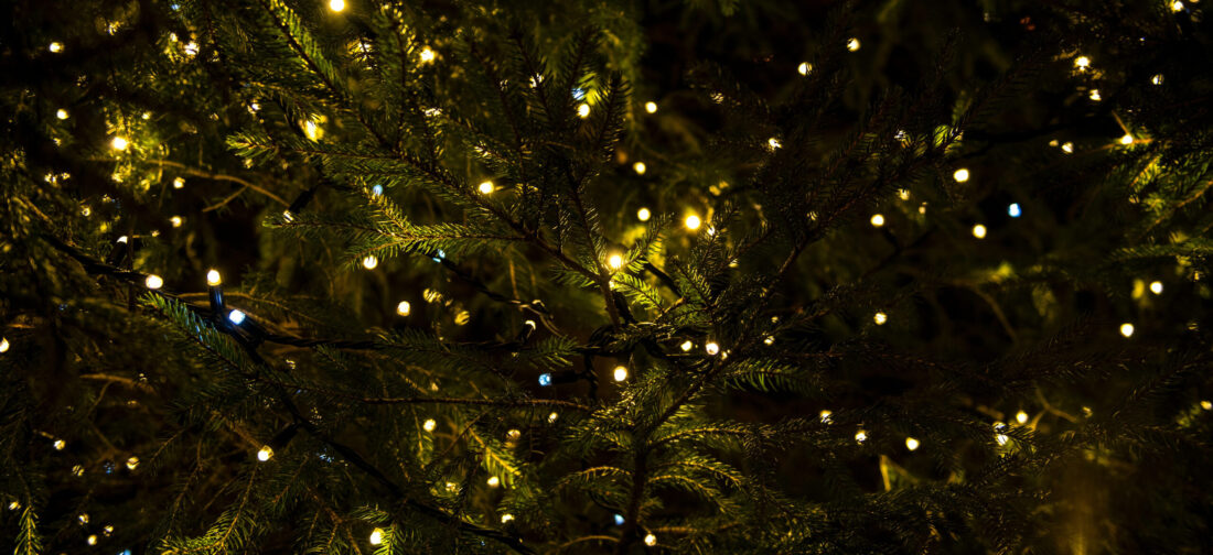 Discover our NEW Winter/Christmas Collection