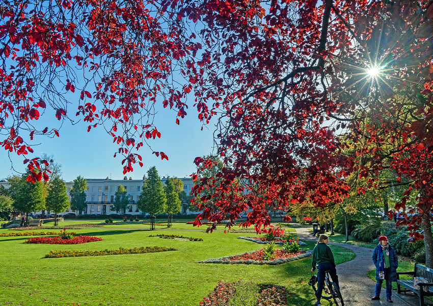 cheltenham imperial gardens