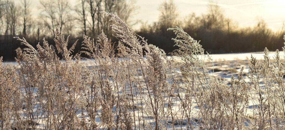 Top 5 Outfits for Winter