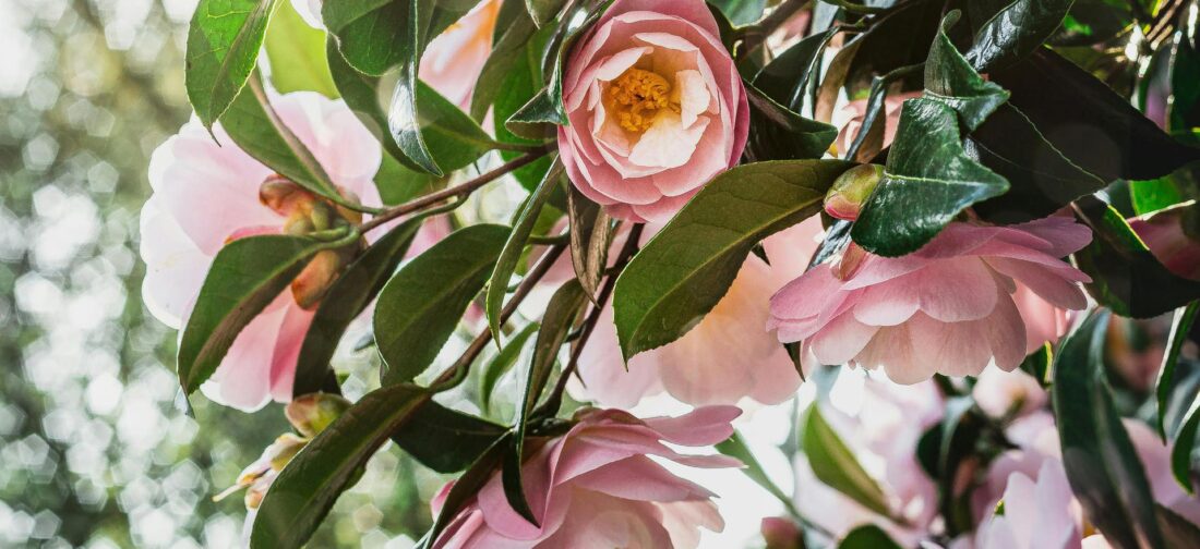 Pink and Green Spring Fashion