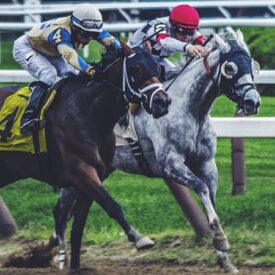 Cheltenham Races 2019