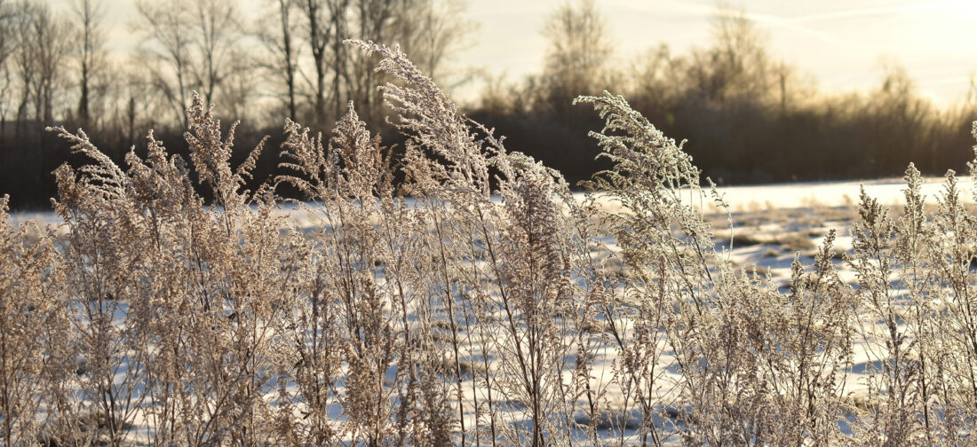 Top 5 Outfits for Winter