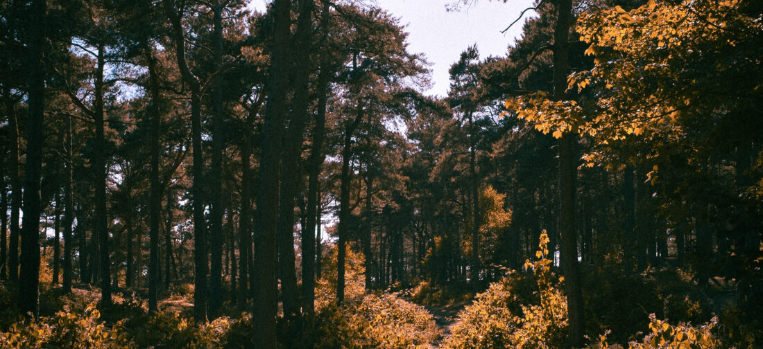 Style guide: Staycation