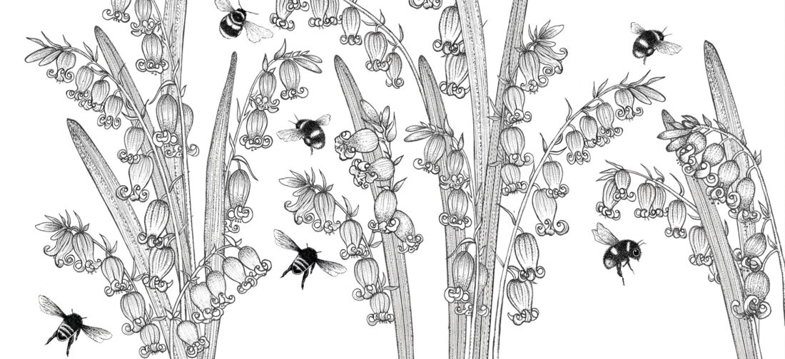 Inspiring Creative Women Series – Beefayre