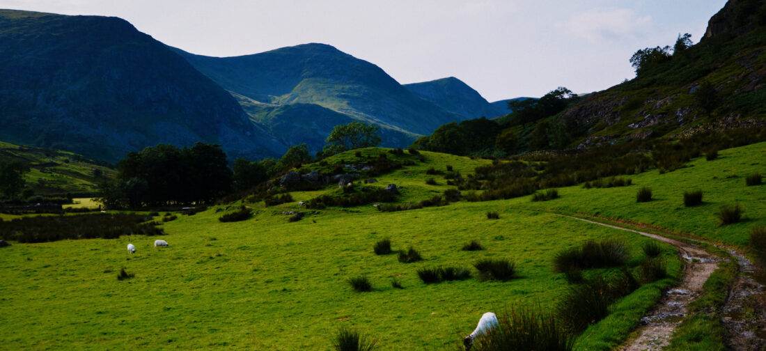 Wrap up warm this winter