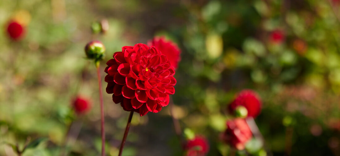 Top picnic destinations around the UK