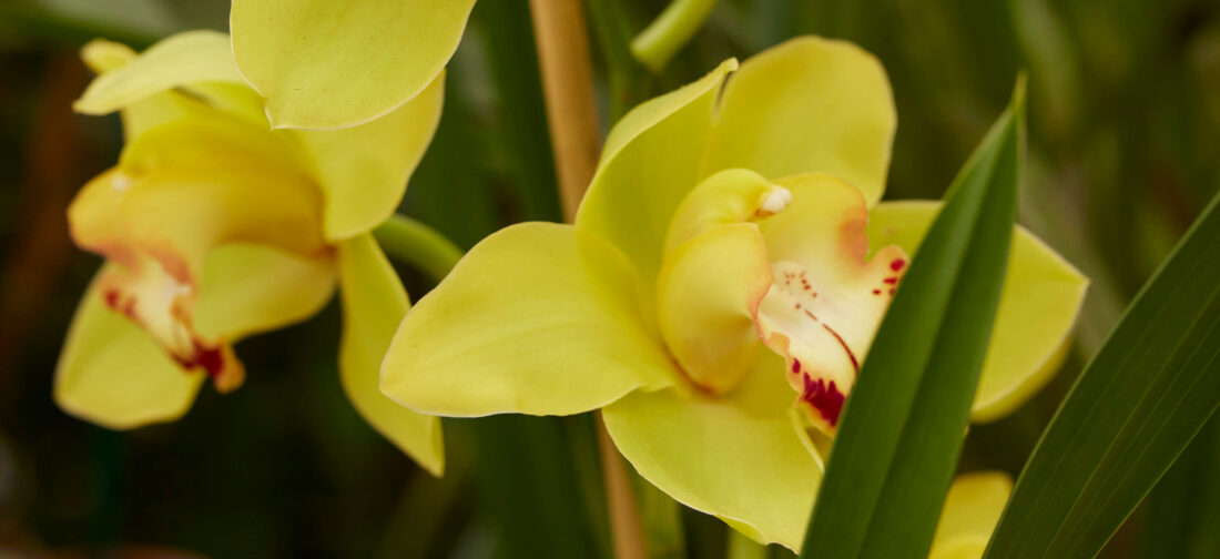 What to wear: Summer Events