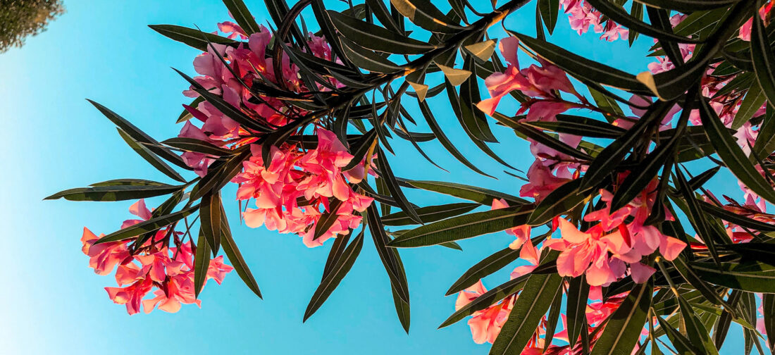 Exclusive preview of our New Season Issue