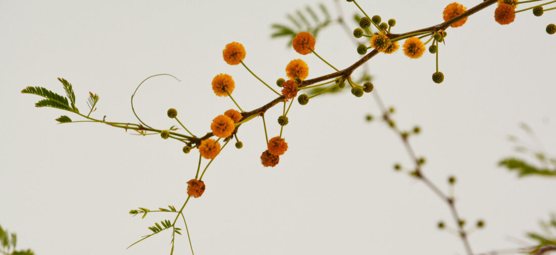 This Season's Colour Palette: Autumn Brights