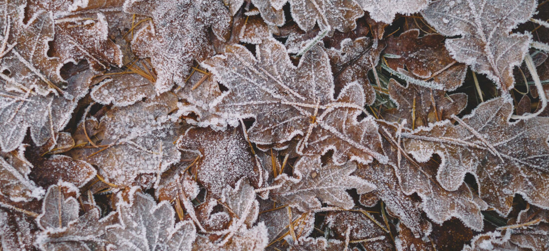 Knitwear for Every Occasion