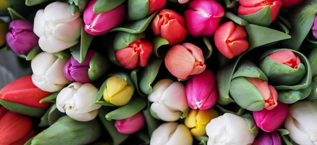 Embrace The Spring Weather With Our Coats and Jackets