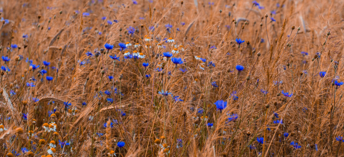 Enjoy Luxury This Spring With Our Latest Nightwear