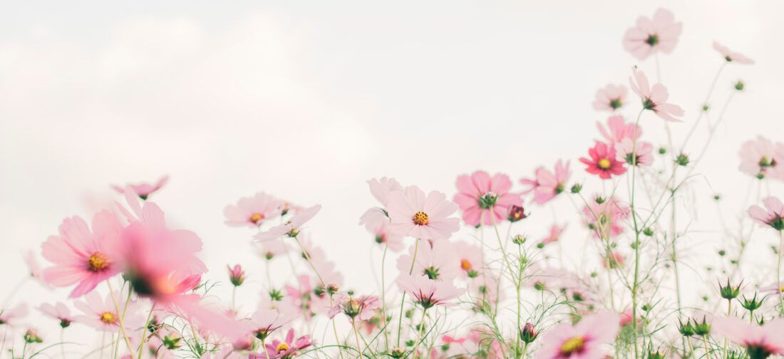 Summer-Ready Prints and Patterns