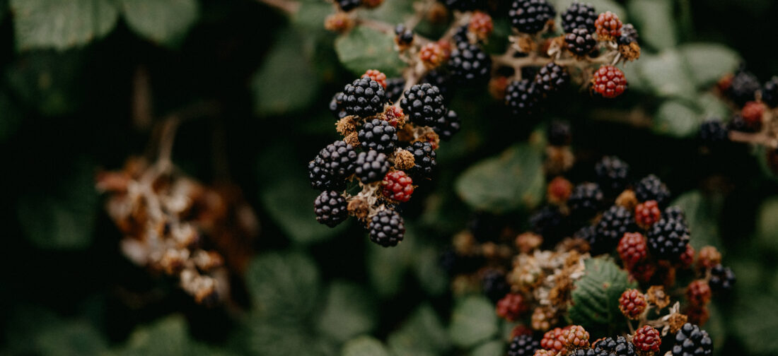 Our Top Autumn/Winter Investments