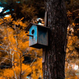 5 Walking Looks to Style This Autumn