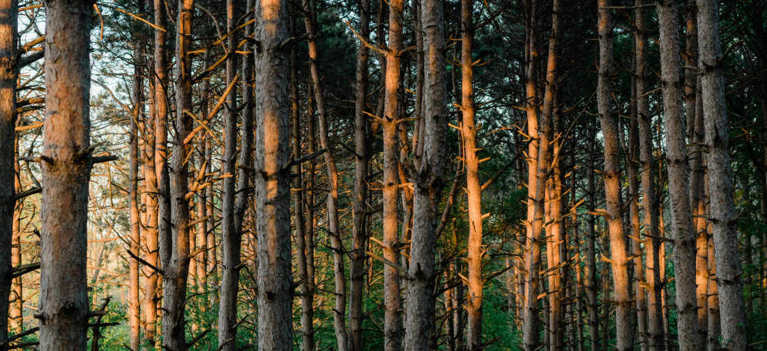 5 Walking Looks to Style This Autumn