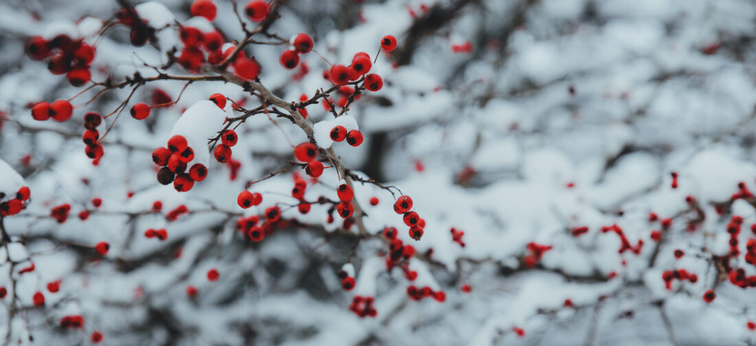 Christmas Events | What to Wear