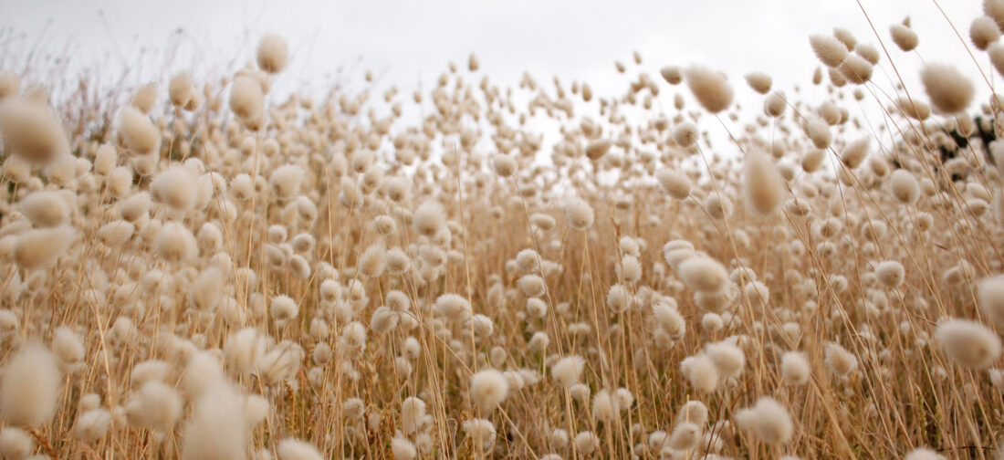 Slow Fashion: A Guide to Conscious Consumption