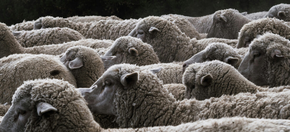 The Ultimate Guide To A Boiled Wool Jacket