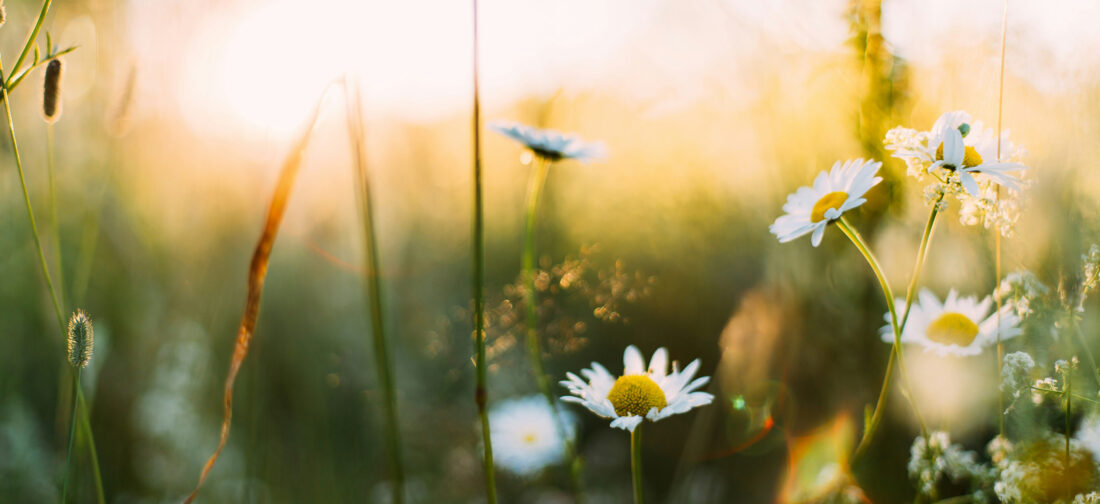 From Vibrant Hues to Neutral Tones: Top Styling Tips