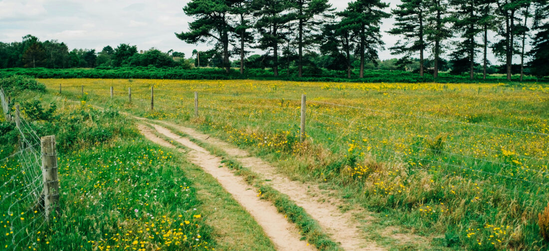 Our Top Spring Layering Staples