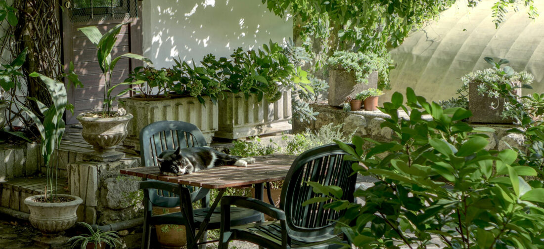 Make The Most Of The Season | Spring Activities