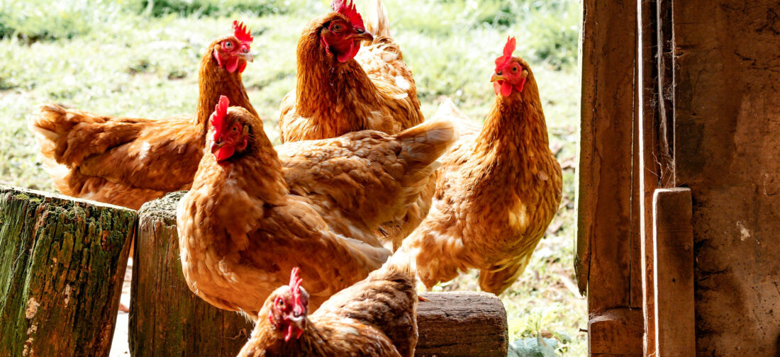 Find Comfort in Our Jerseywear Collection