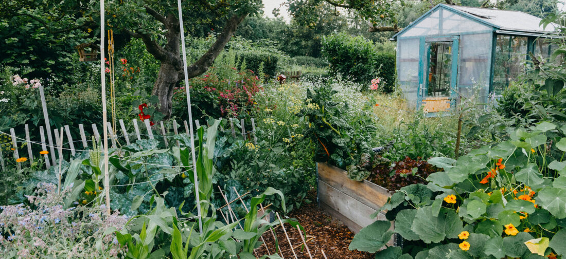 Gardening Gifts 2025 | Top Gifts for Gardeners