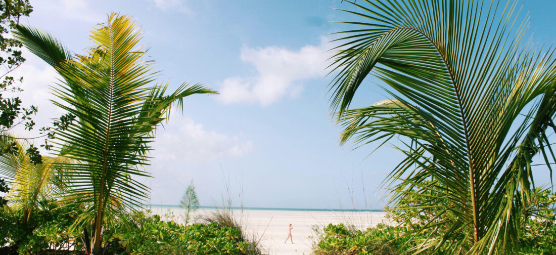 Get Inspired By Our Buyers Favourites