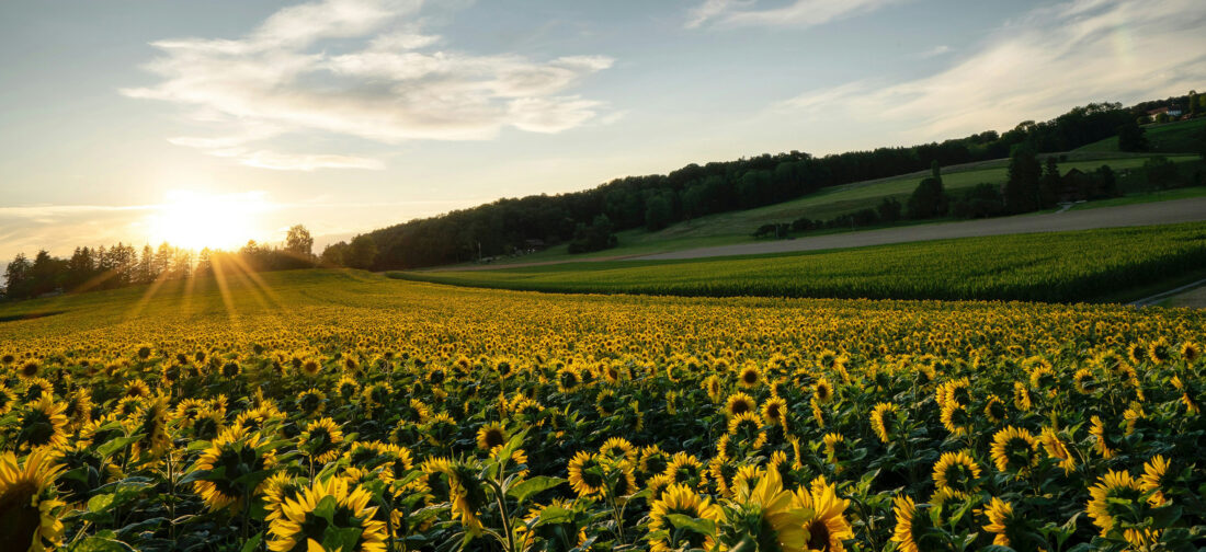 Discover Our 2025 New Season Issue