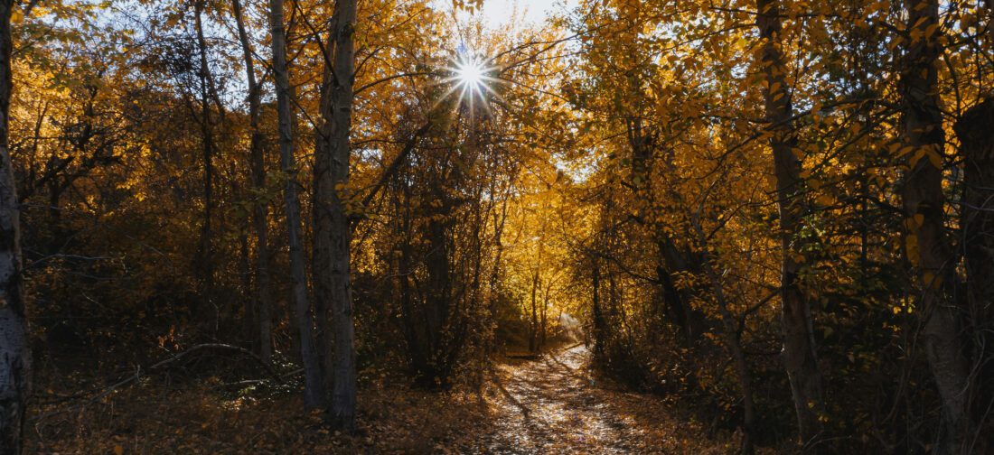 From Cable Knits to Fair Isle: Your Guide to Autumn Knitwear