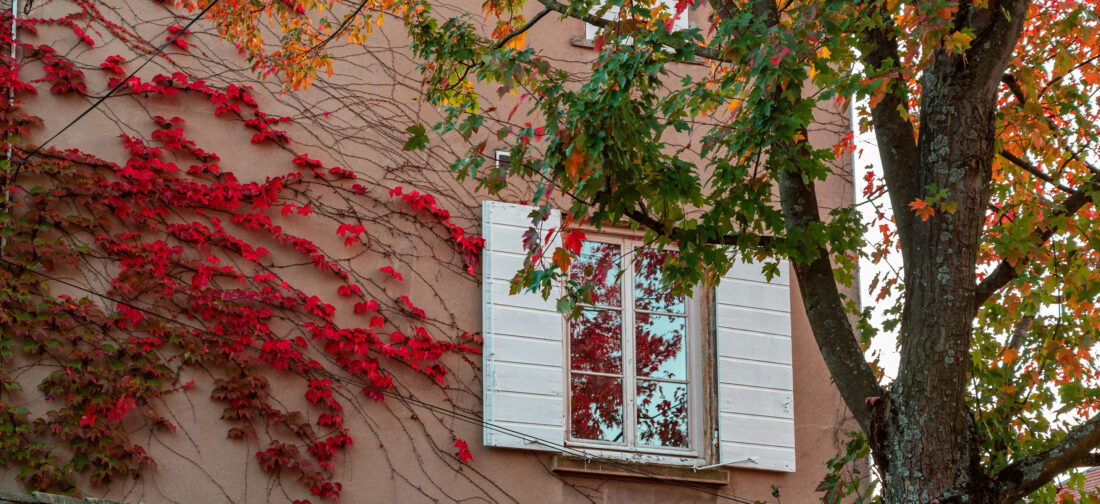 Counting on Comfort? | Discover Our Latest Jerseywear