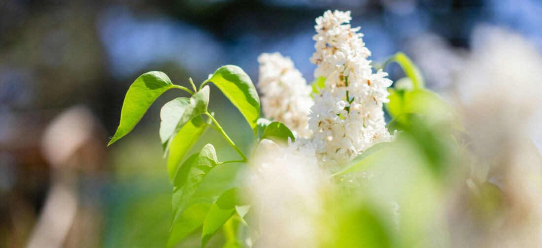 What Should I Be Wearing In Spring?