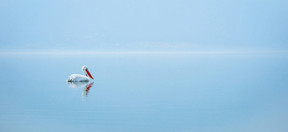 2025 Colour Trend: Light Blue