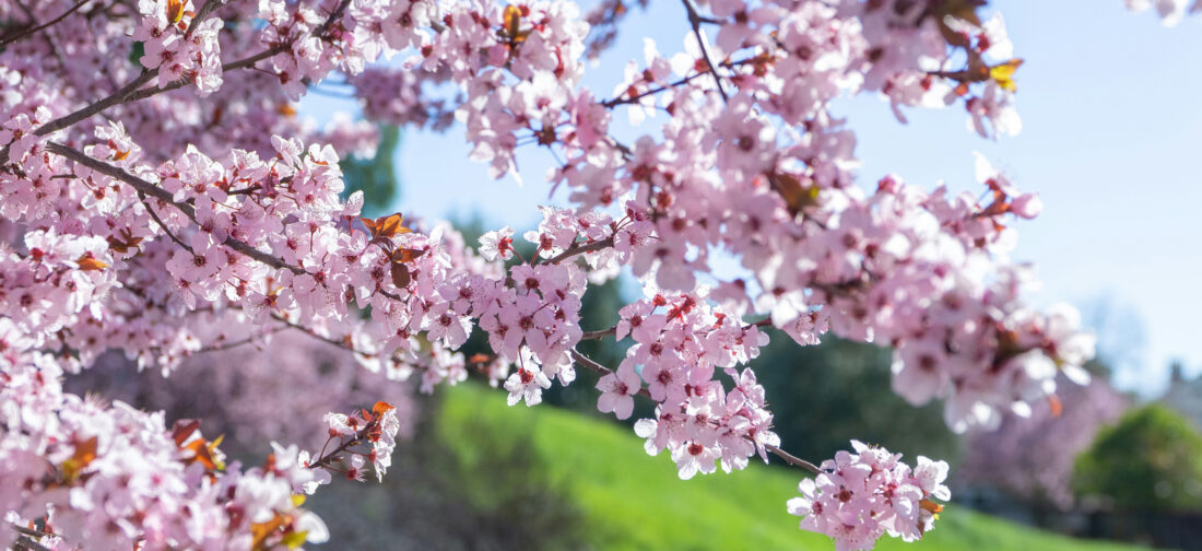 Spring Tones | Elevate Your Wardrobe